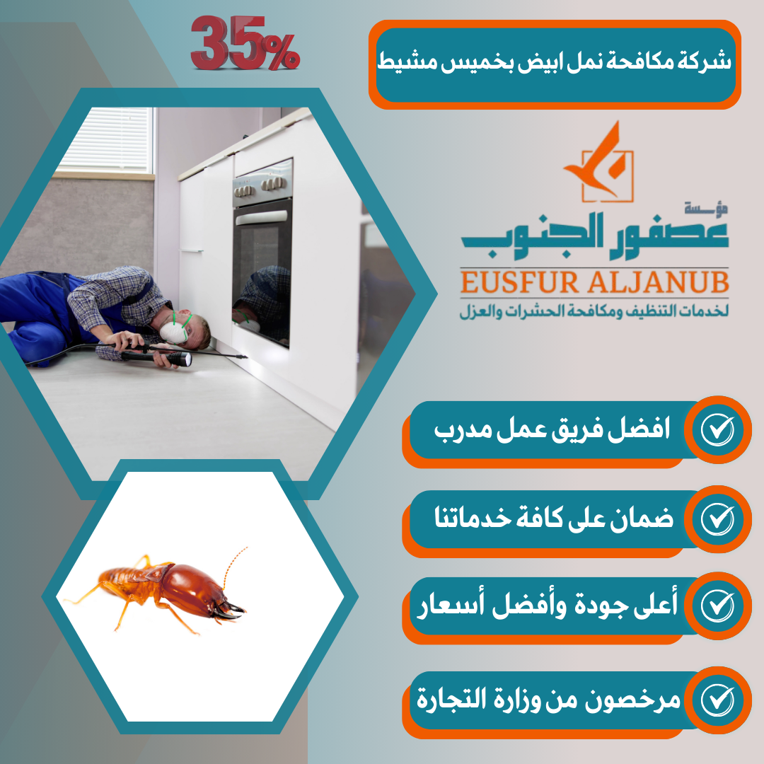 الأساليب والتقنيات المتبعة في تنظيف المجالس بخميس مشيط
