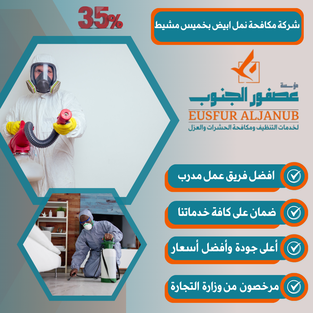 التعامل مع النمل الأبيض في المباني التجارية بخميس مشيط