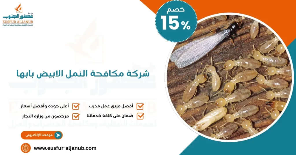 شركة مكافحة النمل الابيض بابها