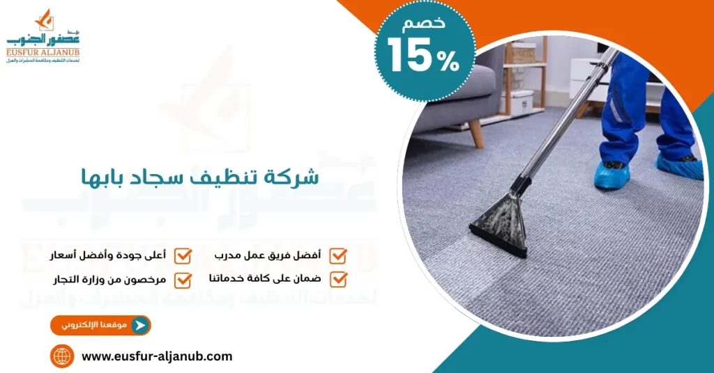 شركة تنظيف سجاد بابها