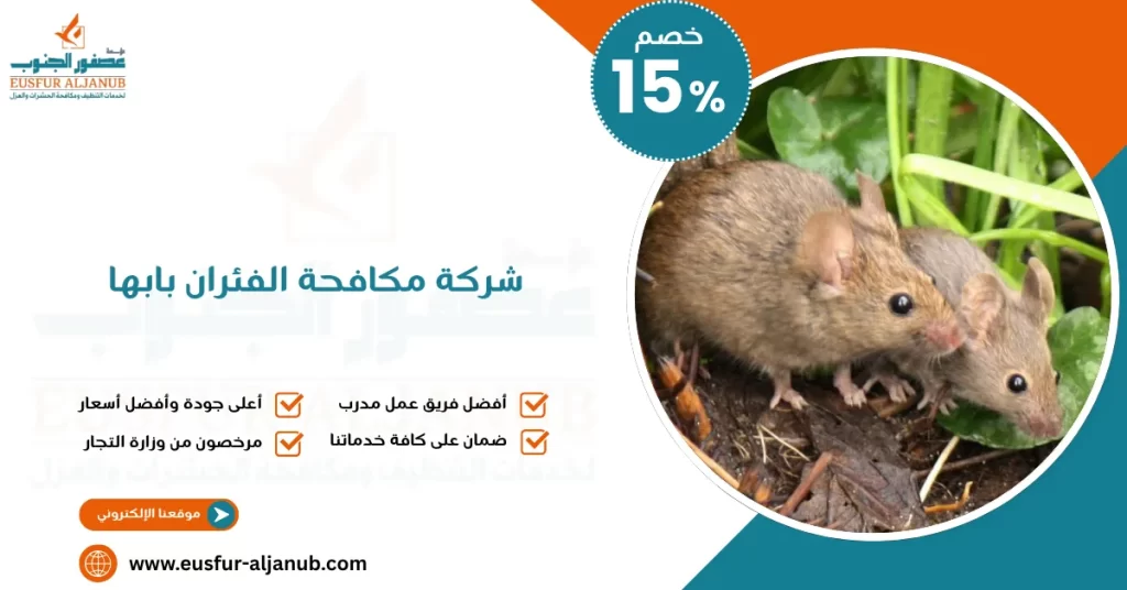 شركة مكافحة الفئران بابها